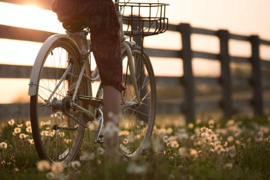 Fietscontrole VVN geannuleerd