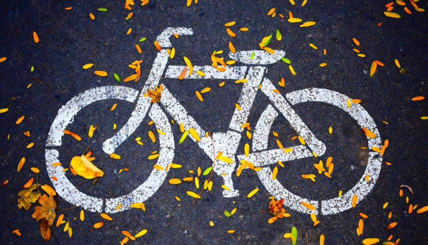 Fietscontrole