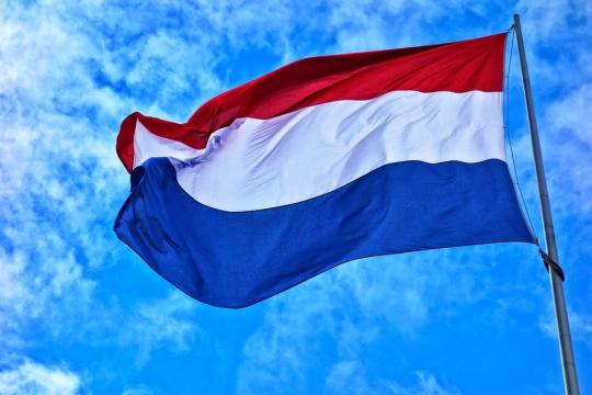 Werkwijze vak Nederlands