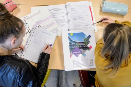 Differentiëren bij het vak Nederlands